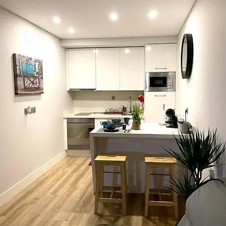 Sampaio Brand New Amazing Flat In