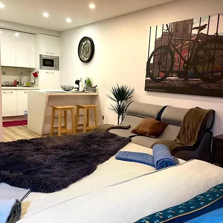 Lejlighed Sampaio Brand New Amazing Flat In *